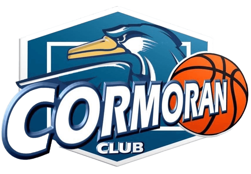 ACS Cormoran